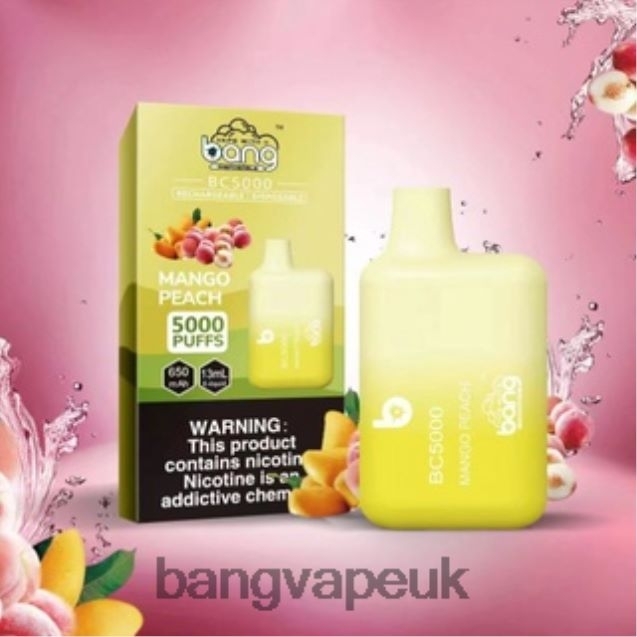 Bang Vape Box BC5000 5% Nic 5000 puffs Pen Type-C Rechargeable - B206089 Bang Vape 20000 Puffs Disposable