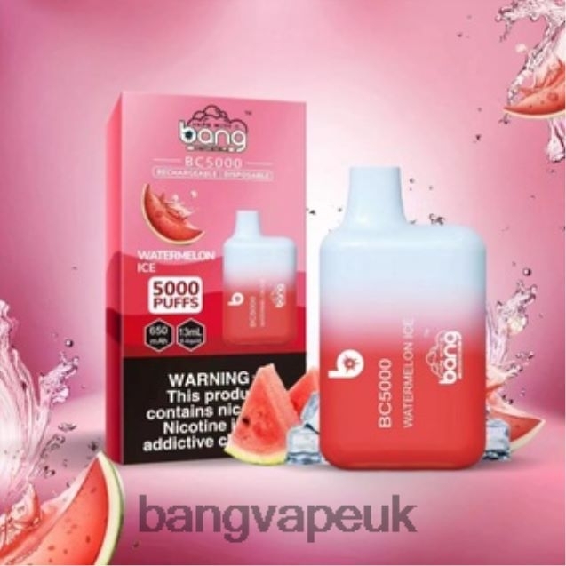 Bang Vape Box BC5000 5% Nic 5000 puffs Pen Type-C Rechargeable - B206089 Bang Vape 20000 Puffs Disposable