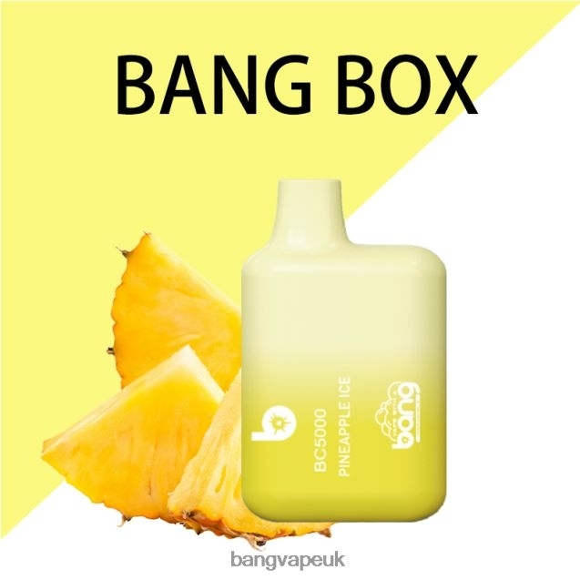 Bang Vape Box BC5000 5% Nic 5000 puffs Pen Type-C Rechargeable - B206089 Bang Vape 20000 Puffs Disposable