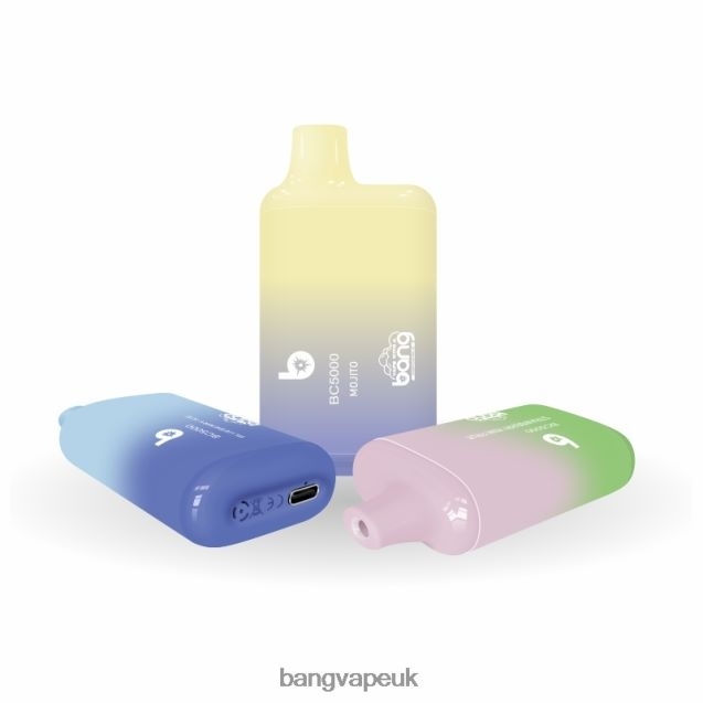 Bang Vape Box BC5000 5% Nic 5000 puffs Pen Type-C Rechargeable - B206089 Bang Vape 20000 Puffs Disposable