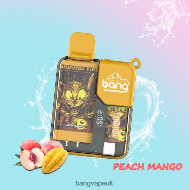 Bang Vape Box BC9000 Prefilled 16ml - B206086 Bang XXL Vape UK Disposable