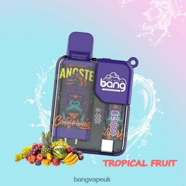 Bang Vape Box BC9000 Prefilled 16ml - B206086 Bang XXL Vape UK Disposable