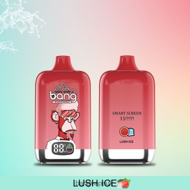 Bang Vape Digital Smart Screen 15000 puffs 25ml - B2060811 Vape Gang UK Disposable