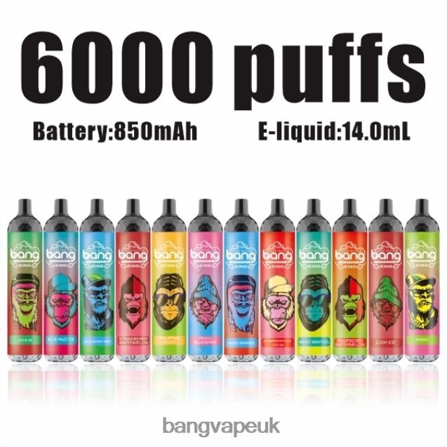 Bang Vape King 6000 puffs 5% Nic Rechargeable Type-C - B206088 Bang Vapes 12000 Disposable