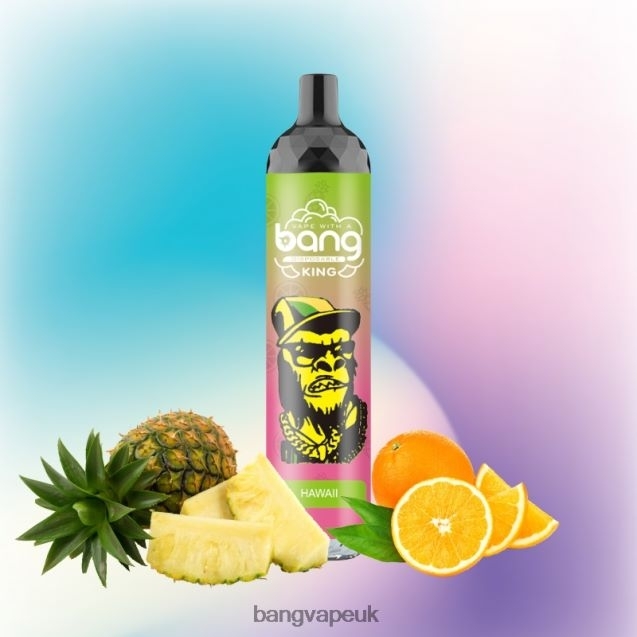 Bang Vape King 6000 puffs 5% Nic Rechargeable Type-C - B206088 Bang Vapes 12000 Disposable