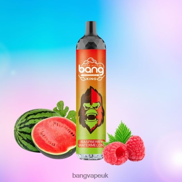 Bang Vape King 6000 puffs 5% Nic Rechargeable Type-C - B206088 Bang Vapes 12000 Disposable