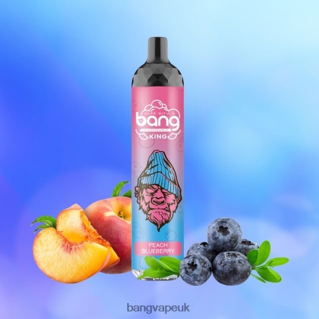 Bang Vape King 6000 puffs 5% Nic Rechargeable Type-C - B206088 Bang Vapes 12000 Disposable