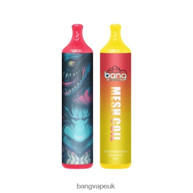 Bang Vape Mesh Coil 3500 puffs 2% Nic - B206087 Bang King Vape 12000 UK Disposable