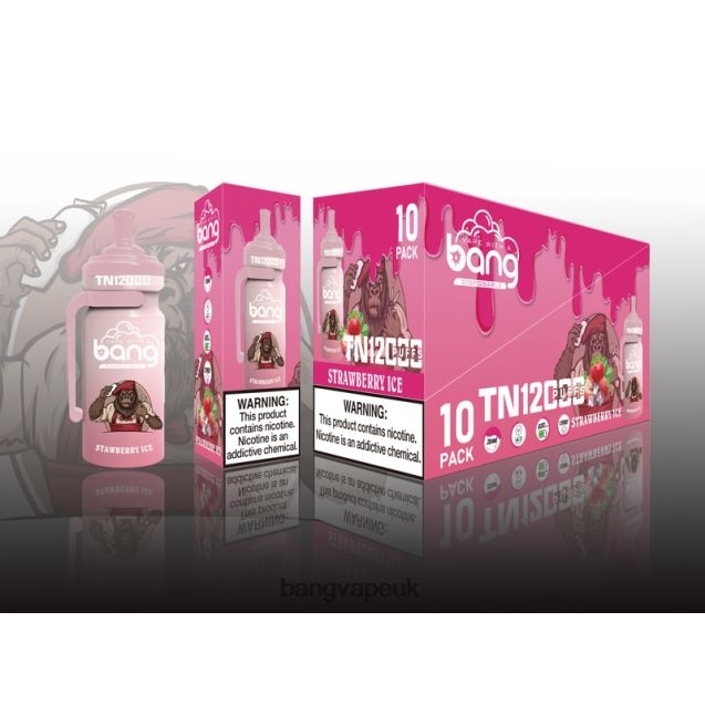 Bang Vape TN12000 Pod with Mesh Coil - B206085 Bang King Vape UK Disposable