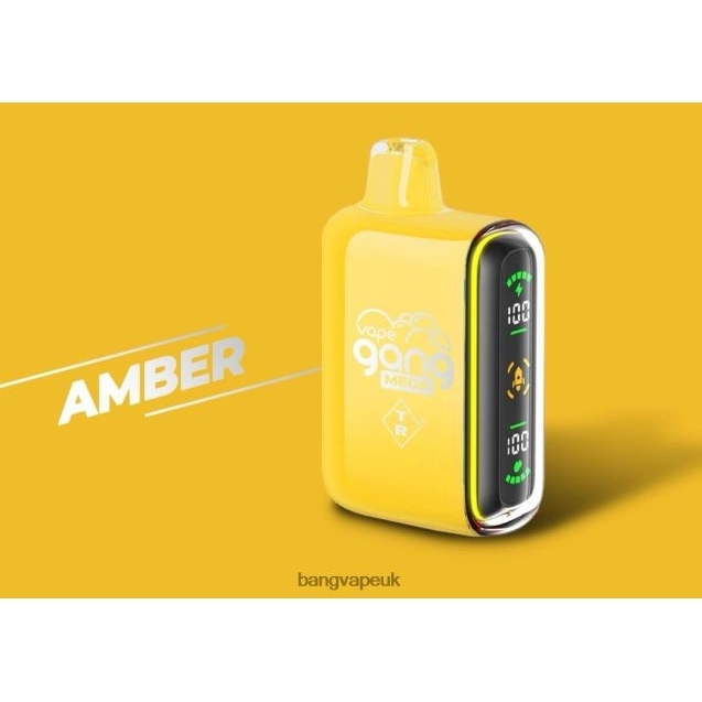 Vape Gang MEGA 20,000 puffs Disposable Vape (Box of 5) - B2060850 Bang Vape 15000 Puffs Amber