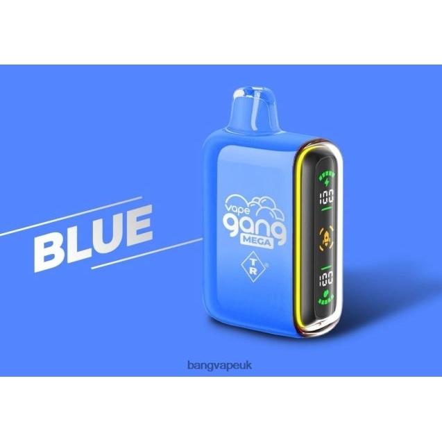 Vape Gang MEGA 20,000 puffs Disposable Vape (Box of 5) - B2060852 Vape Gang UK Blue