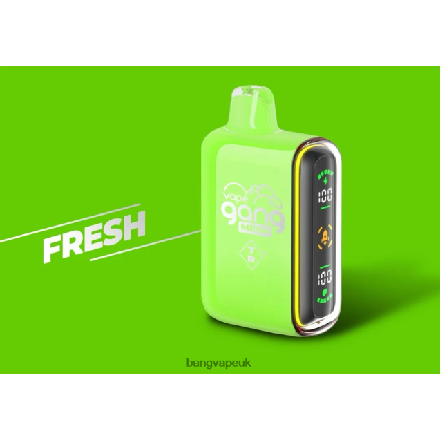 Vape Gang MEGA 20,000 puffs Disposable Vape (Box of 5) - B2060853 Bang Vape UK Fresh