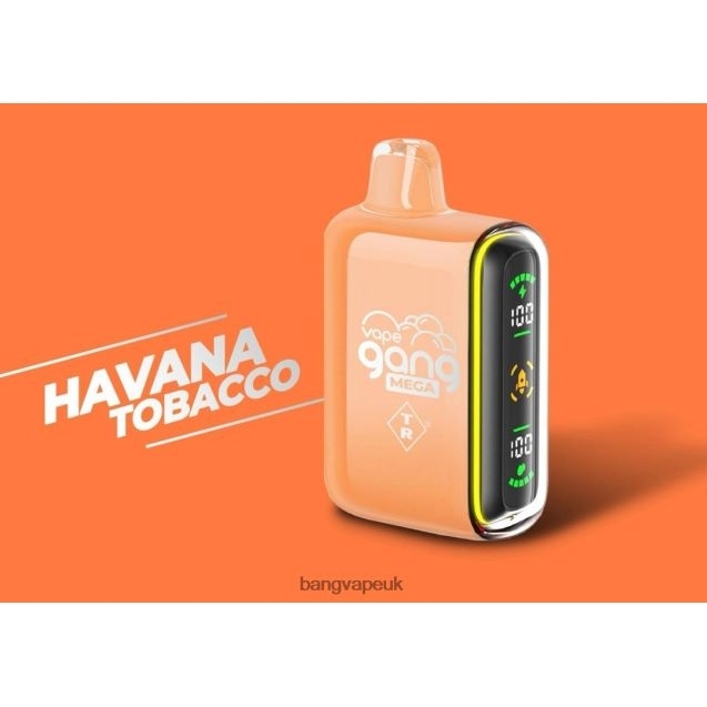 Vape Gang MEGA 20,000 puffs Disposable Vape (Box of 5) - B2060855 Bang Vape London Havana Tobacco