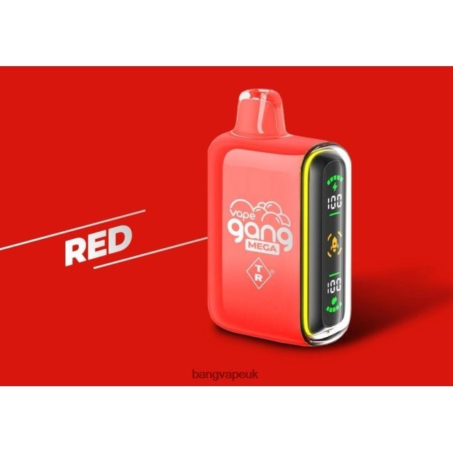 Vape Gang MEGA 20,000 puffs Disposable Vape (Box of 5) - B2060857 Bang King Vape UK Red