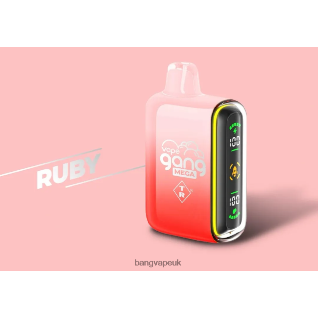 Vape Gang MEGA 20,000 puffs Disposable Vape (Box of 5) - B2060858 Bang XXL Vape UK Ruby