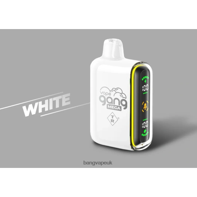 Vape Gang MEGA 20,000 puffs Disposable Vape (Box of 5) - B2060860 Bang Vapes 12000 White
