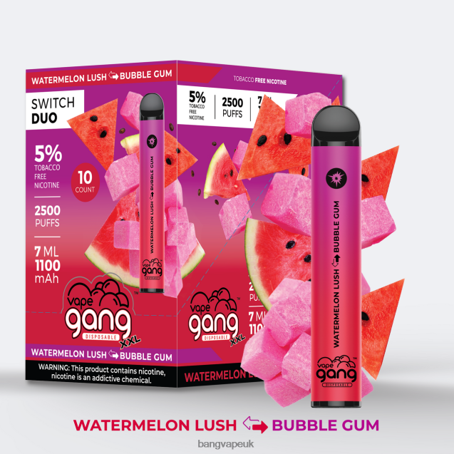 Vape Gang Switch Duo 2 flavors (Box of 10) - B2060839 Bang Vape 20000 Puffs Aloe Grape - Aloe Berry