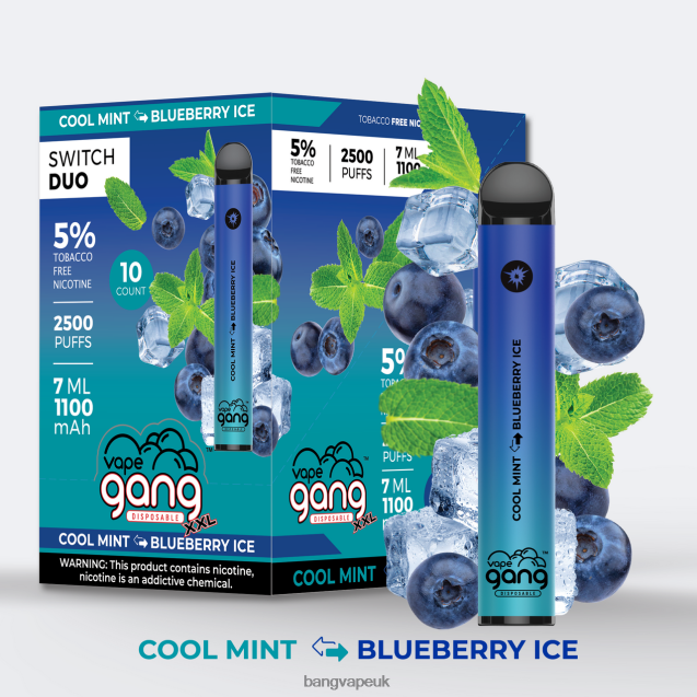 Vape Gang Switch Duo 2 flavors (Box of 10) - B2060843 Bang Vape London Cool Mint - Blueberry Ice