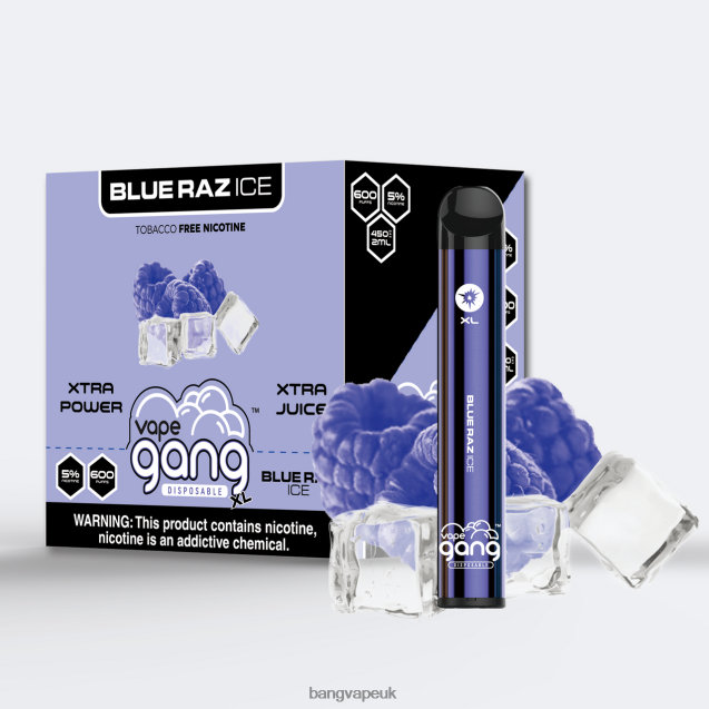 Vape Gang XL Disposable Vapes 600 puffs (Box of 10) - B2060861 Bang Vape 20000 Puffs Blue Raz Ice