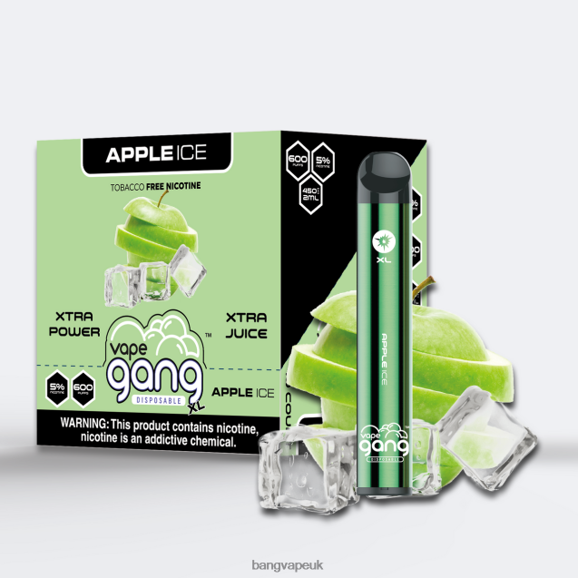 Vape Gang XL Disposable Vapes 600 puffs (Box of 10) - B2060867 Bang King Vape UK Apple Ice