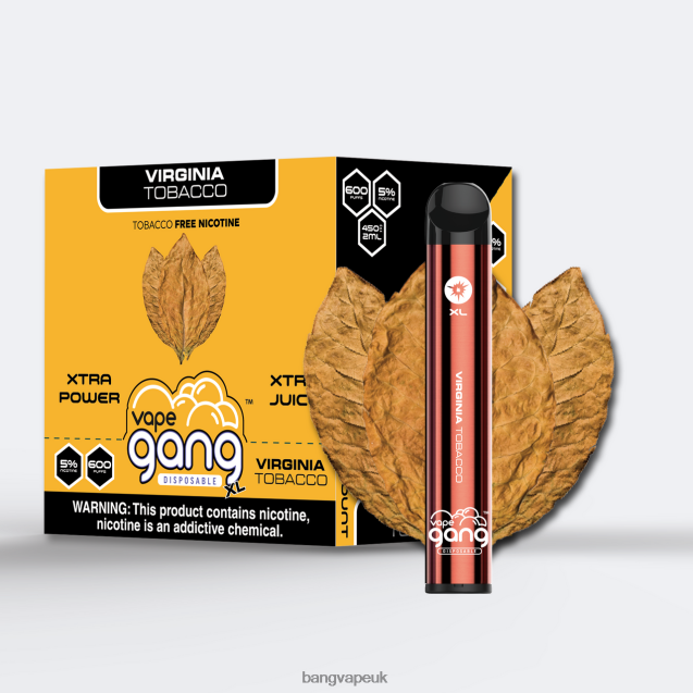 Vape Gang XL Disposable Vapes 600 puffs (Box of 10) - B2060870 Bang Vapes 12000 Virginia Tobacco