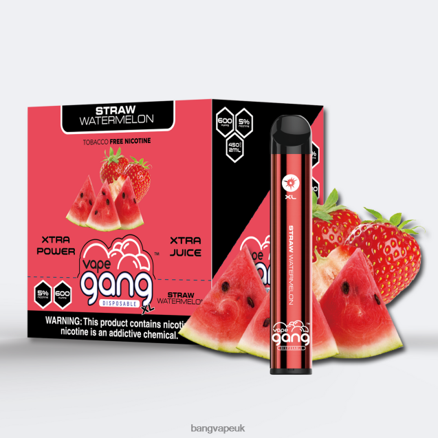 Vape Gang XL Disposable Vapes 600 puffs (Box of 10) - B2060874 Bang Vape UK Straw Watermelon